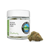 GUSH MINTS CBD [3.5 G]