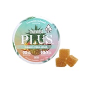 ISLAND MAUI HAZE SATIVA GUMMIES [10 CT]