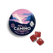 CAMINO WILD BERRY GUMMIES [20 CT]